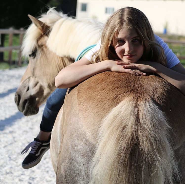 💋 Mein Pferd Mein Freund