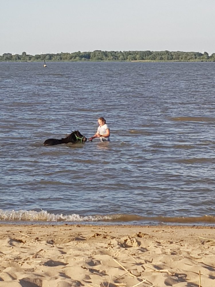 Gemeinsam in der Elbe baden
