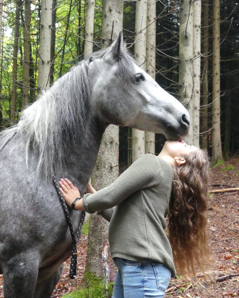 Hals über Kopf verliebt in mein Pony