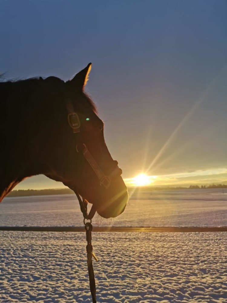 Sonnenuntergang im Schnee