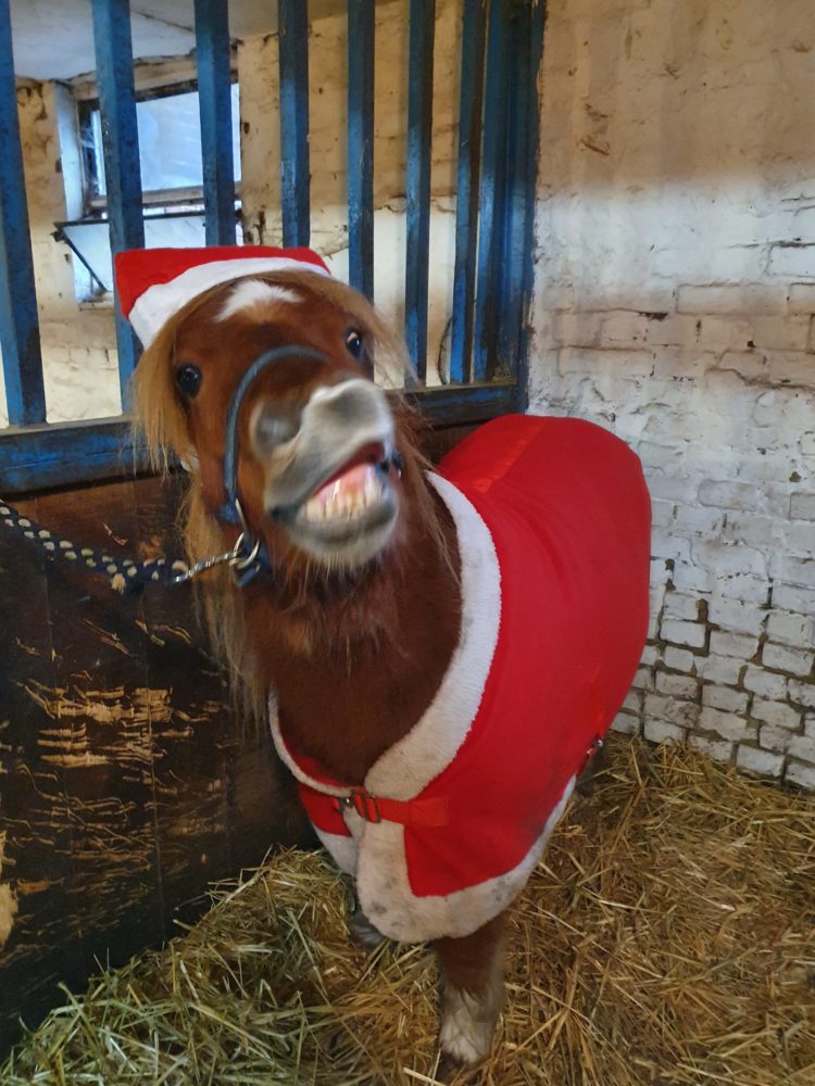 Er grinst selbst als Weihnachtsmann verkleidet 😉