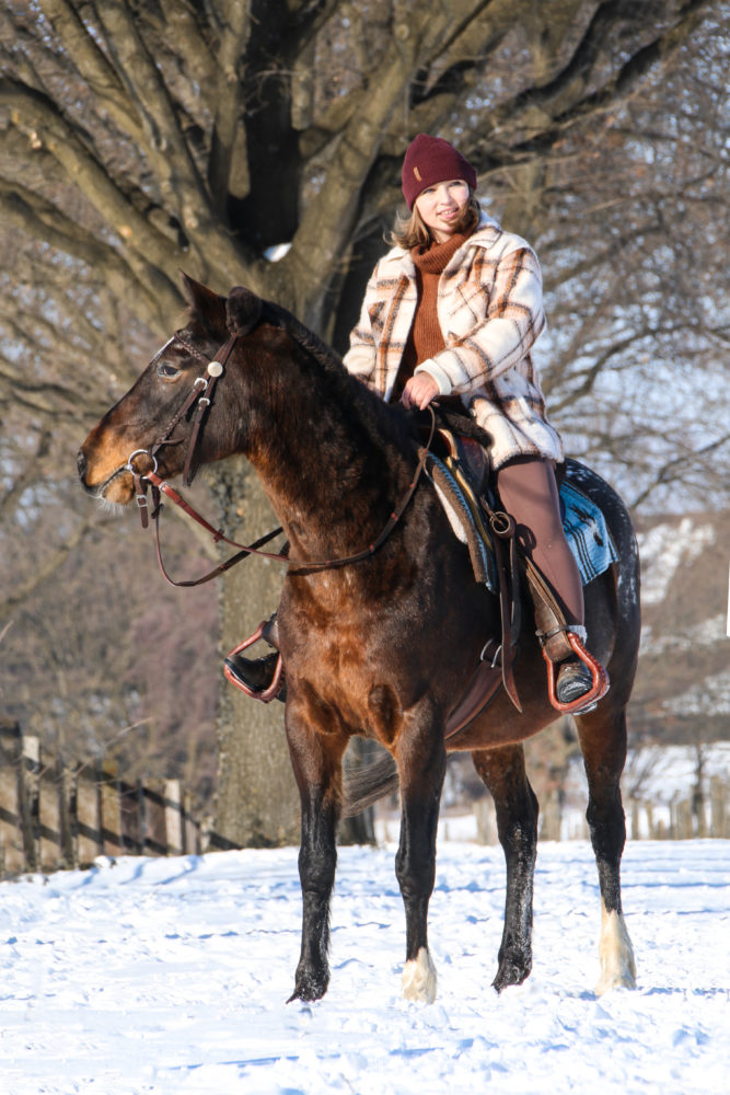 Mein kleines Westernpony