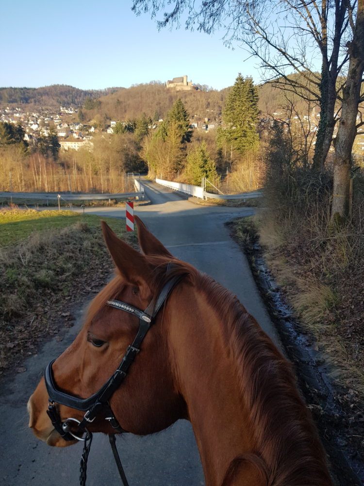 Ausritt mit Schlossblick!