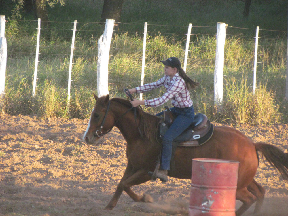 Ein Pferd kann dir alles brechen, außer dein Herz 🥰🤠❣