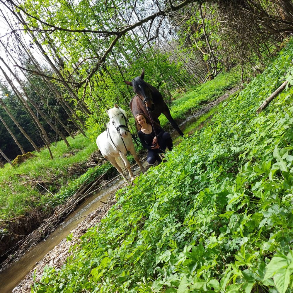 Die frühen Sonnenstrahlen mit meinen zwei Lieblingen genießen 🥰🐴🐴🌞