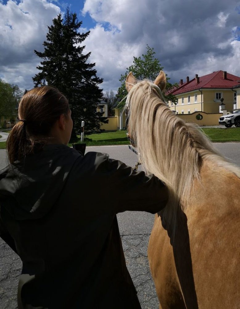 Goldpony bei den Royals