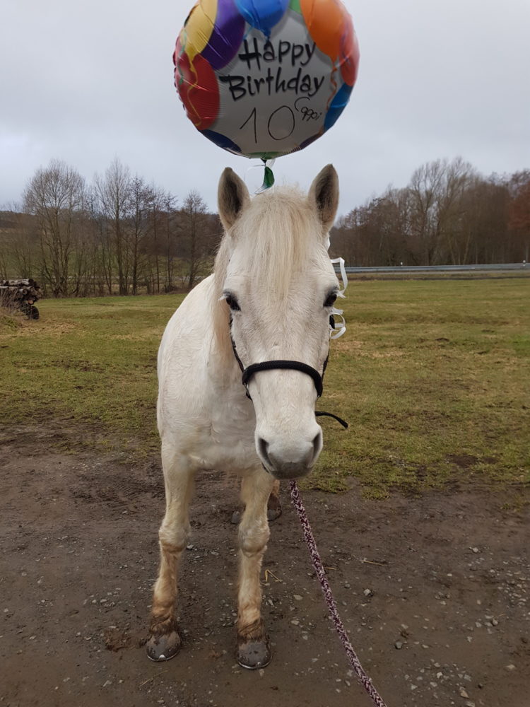 Wir feiern Geburtstag