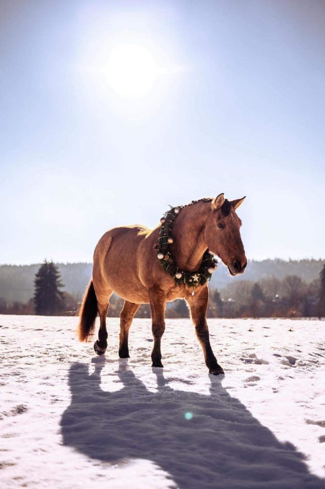 Wintermärchen