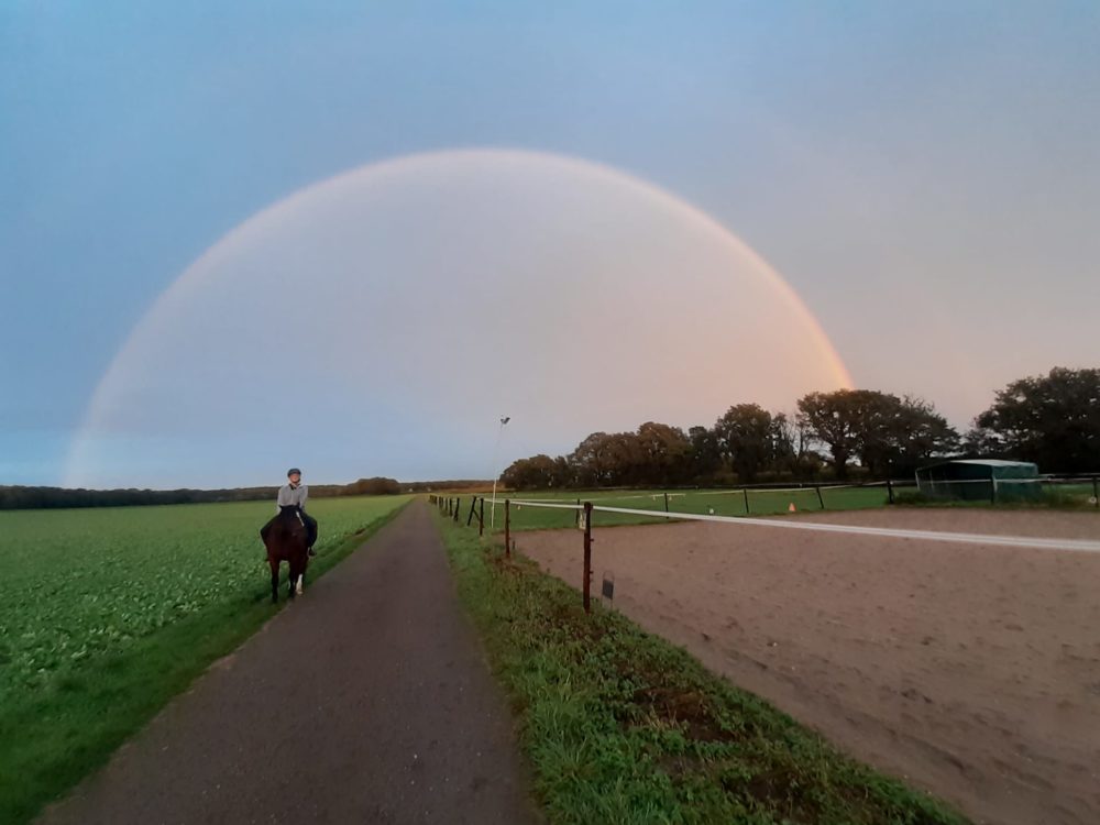 Regenbogen reiten