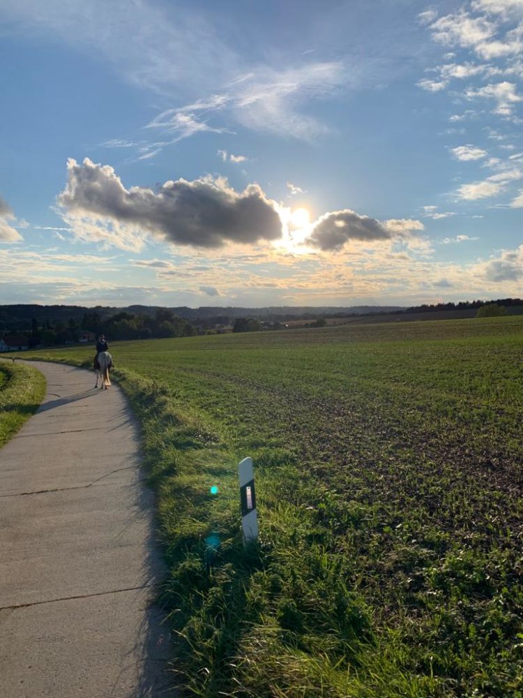 Sonnenuntergang 🌅