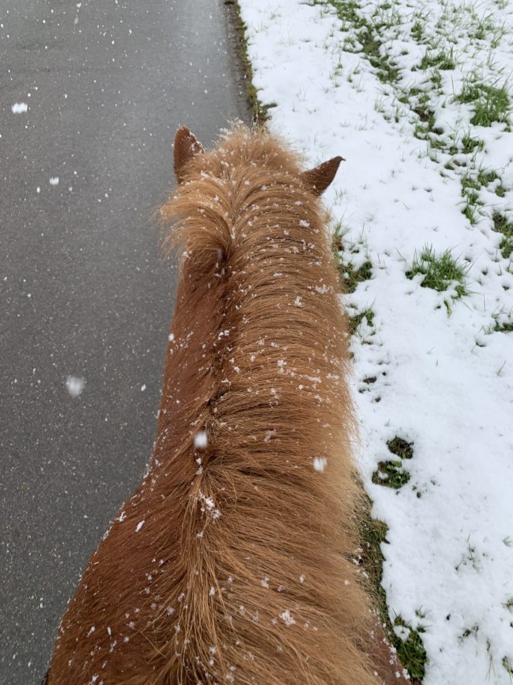 Aprilwetter🌨