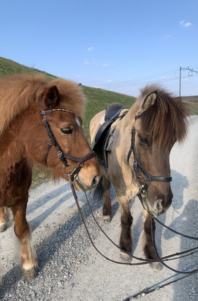 Töltbuddies ;)