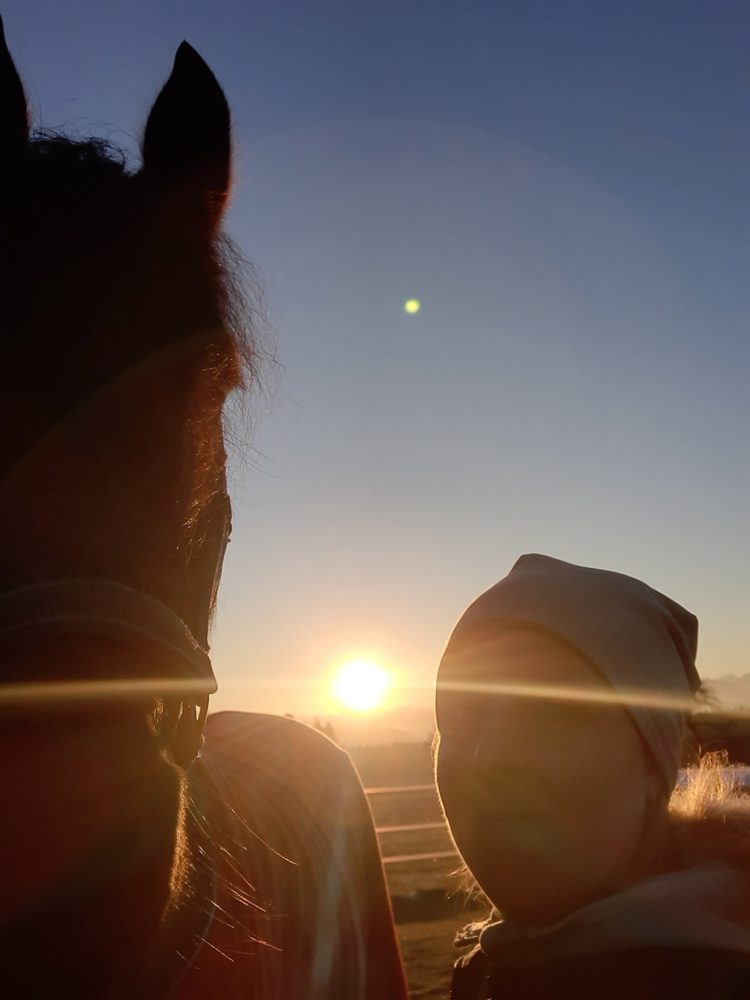 Let the Sun goes down