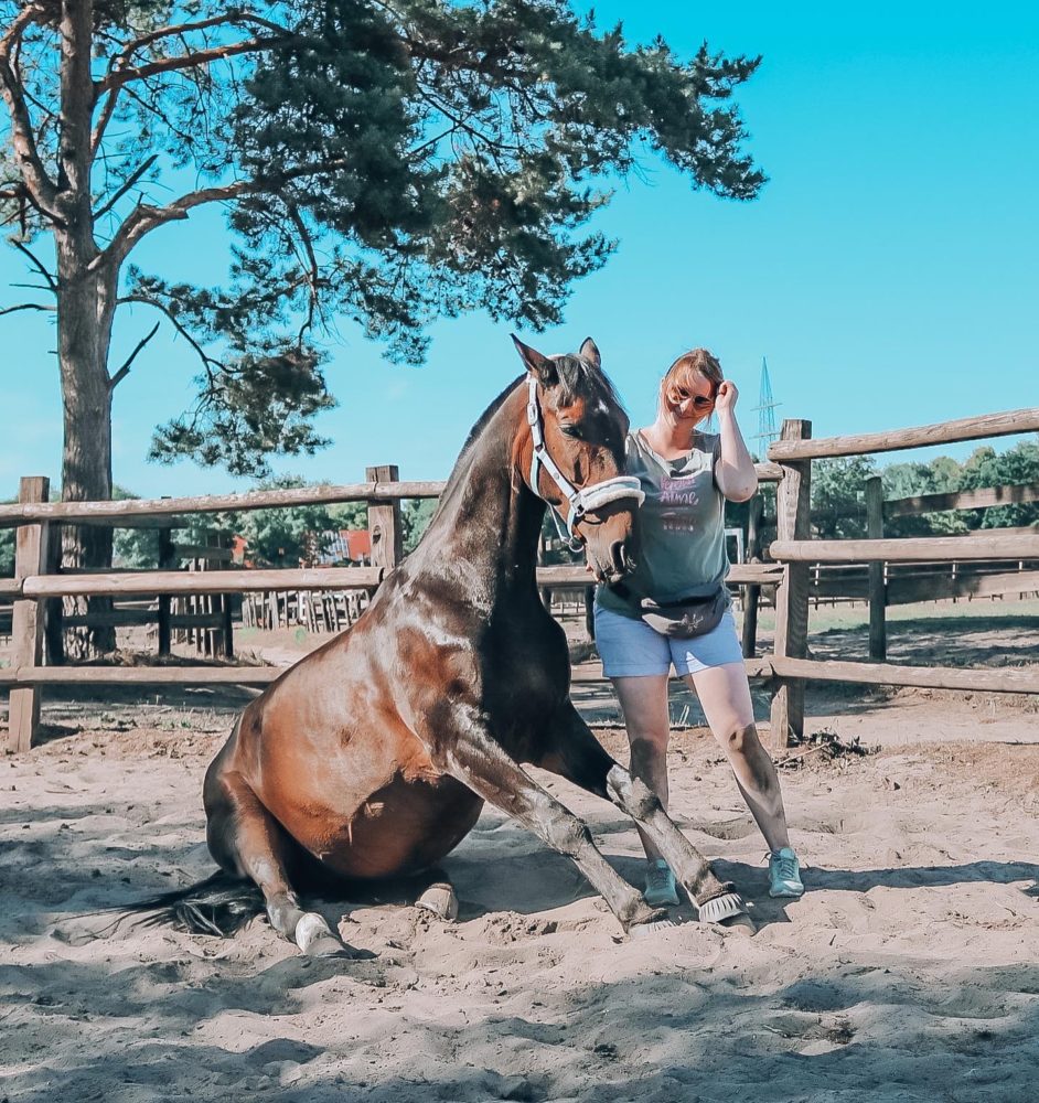 livin’ the horsey life