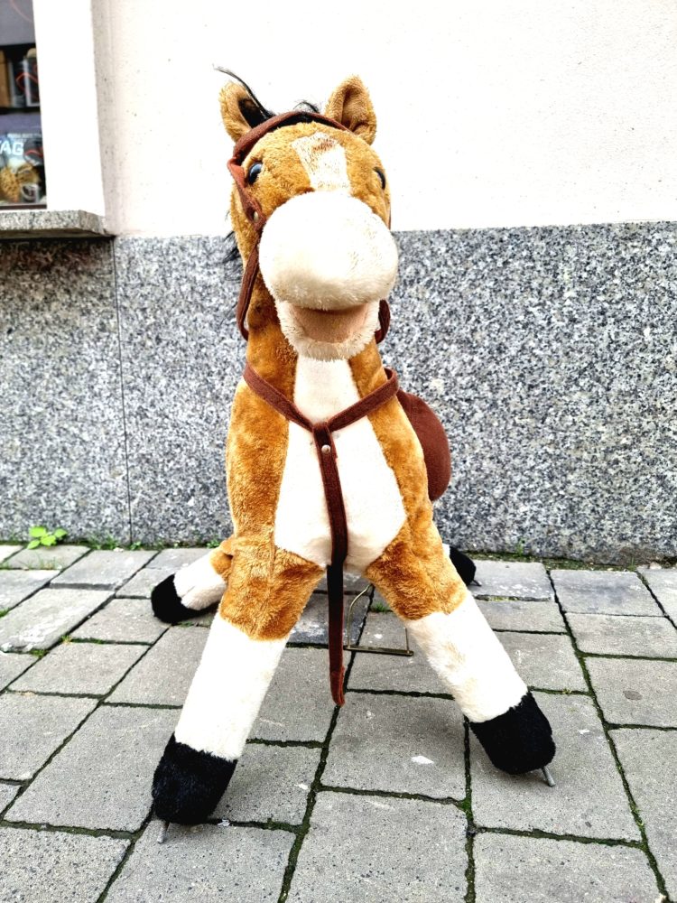 Kindheitserinnerung 🐎🐎🐎