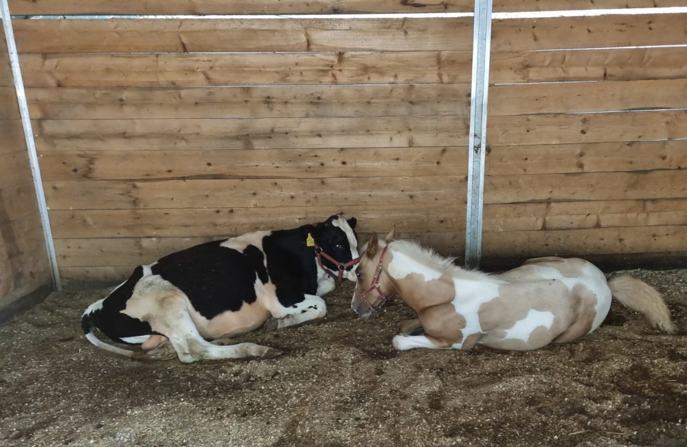 Best friends