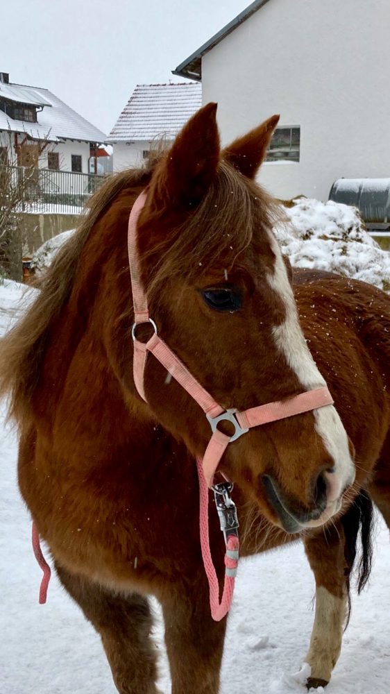 Leise rieselt der Schnee