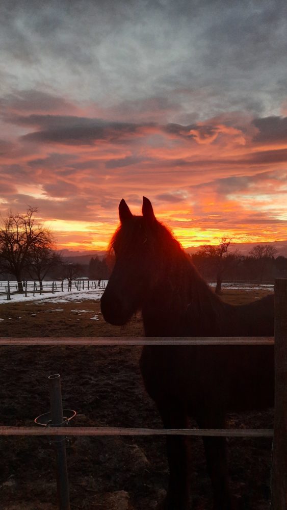 Abendrot