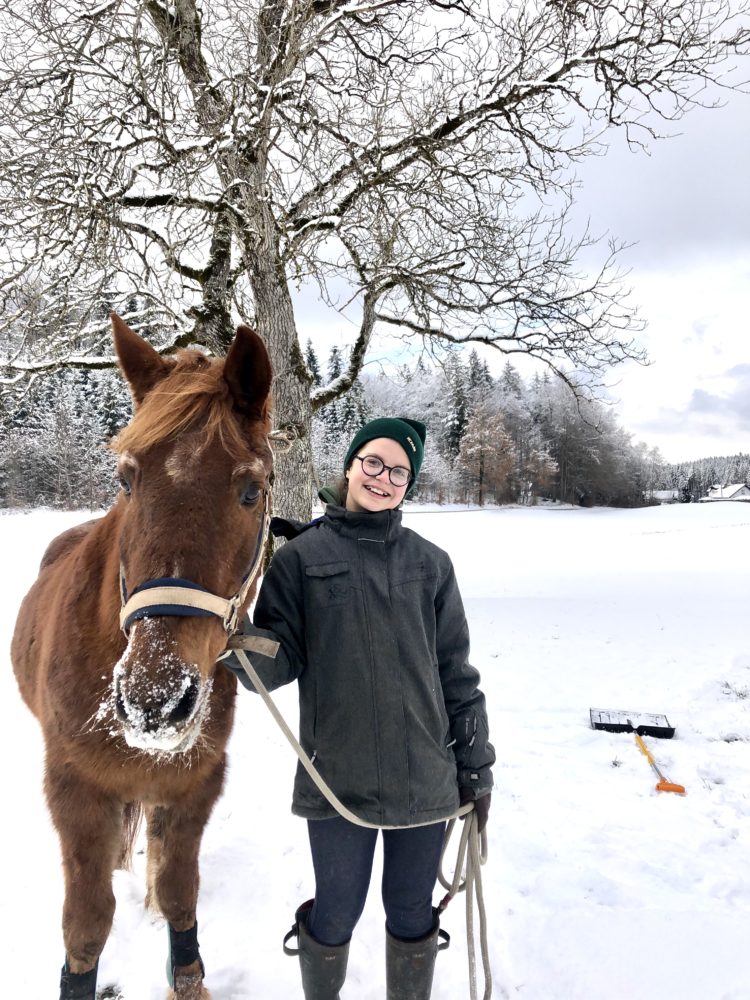 Gauner beim Winterspaziergang