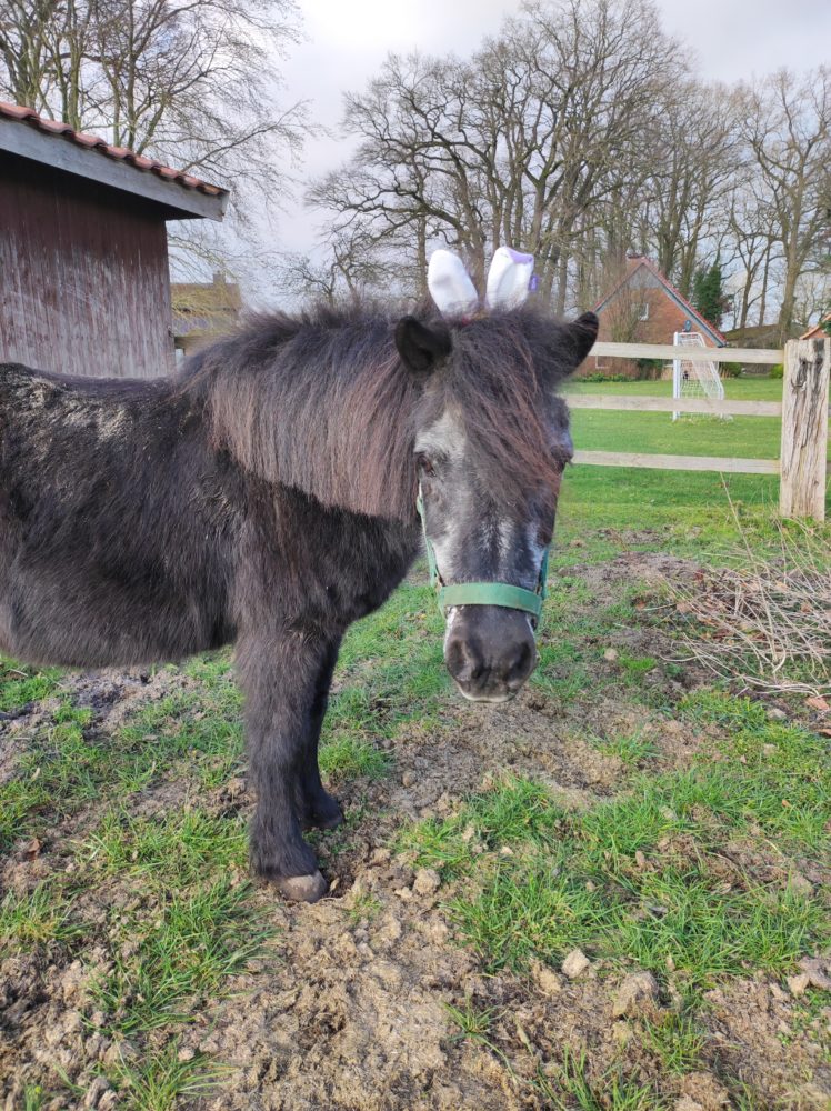 Frohe Ostern