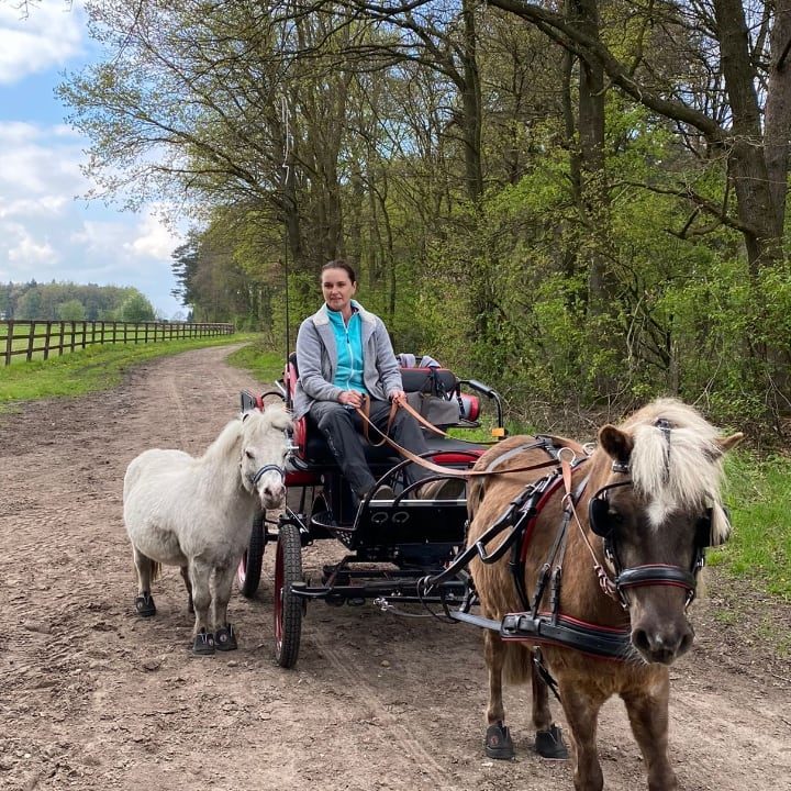 Eine Kutschfahrt mit Rudi und Bas