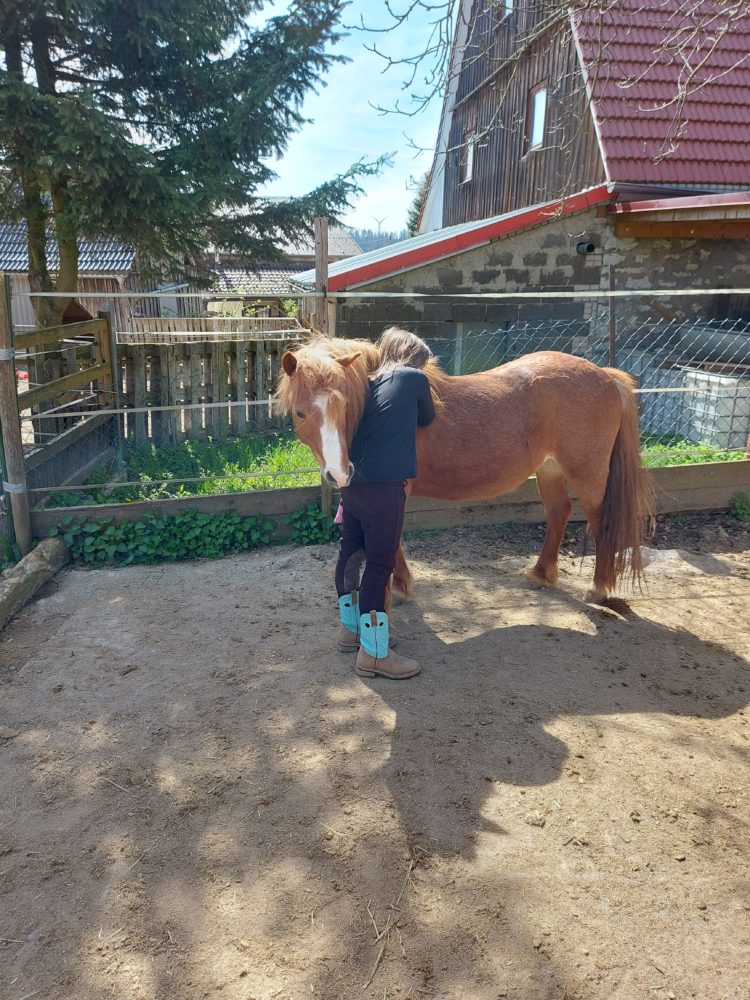 Was Pferde bewegen, bewegen NUR Pferde!