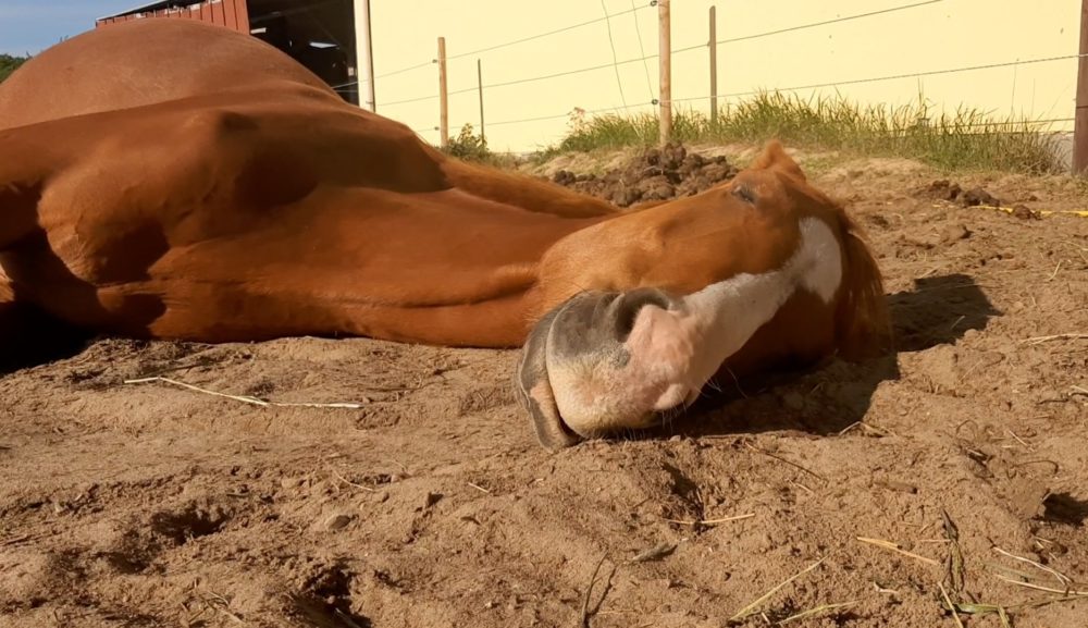 Baby im Sandkasten