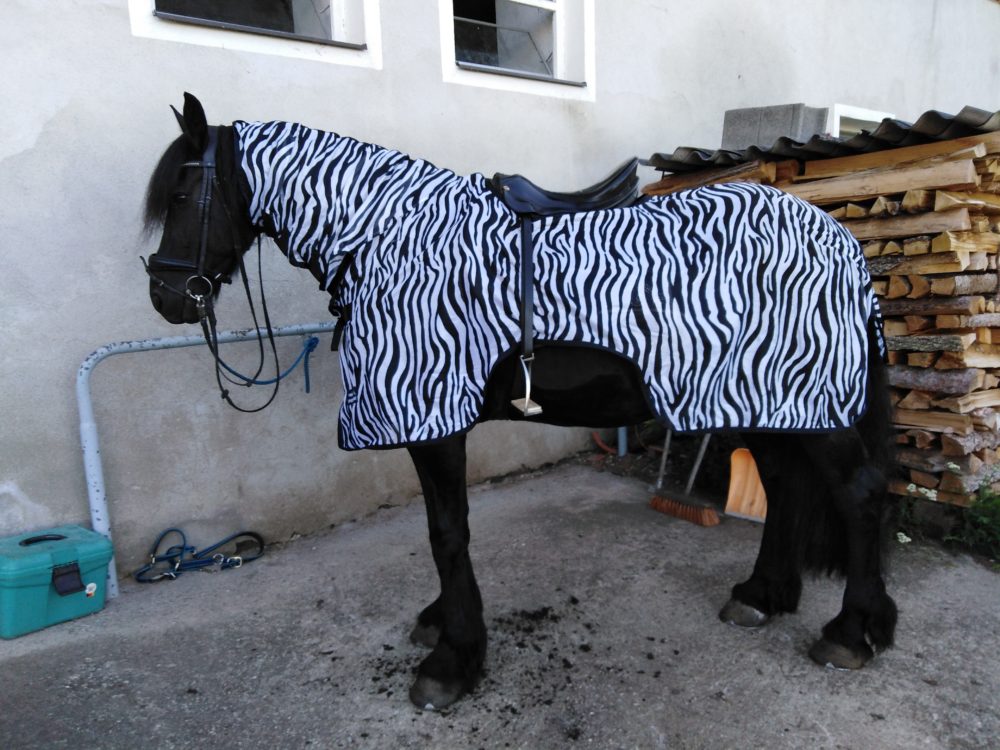 Als Zebra verkleidet