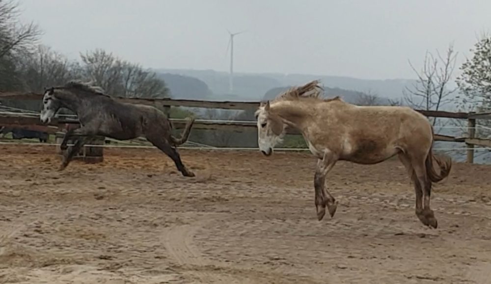 Jump