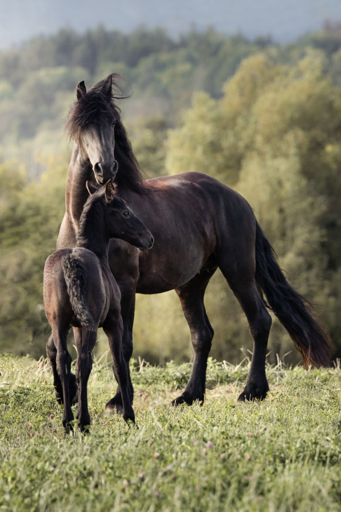Motherhood