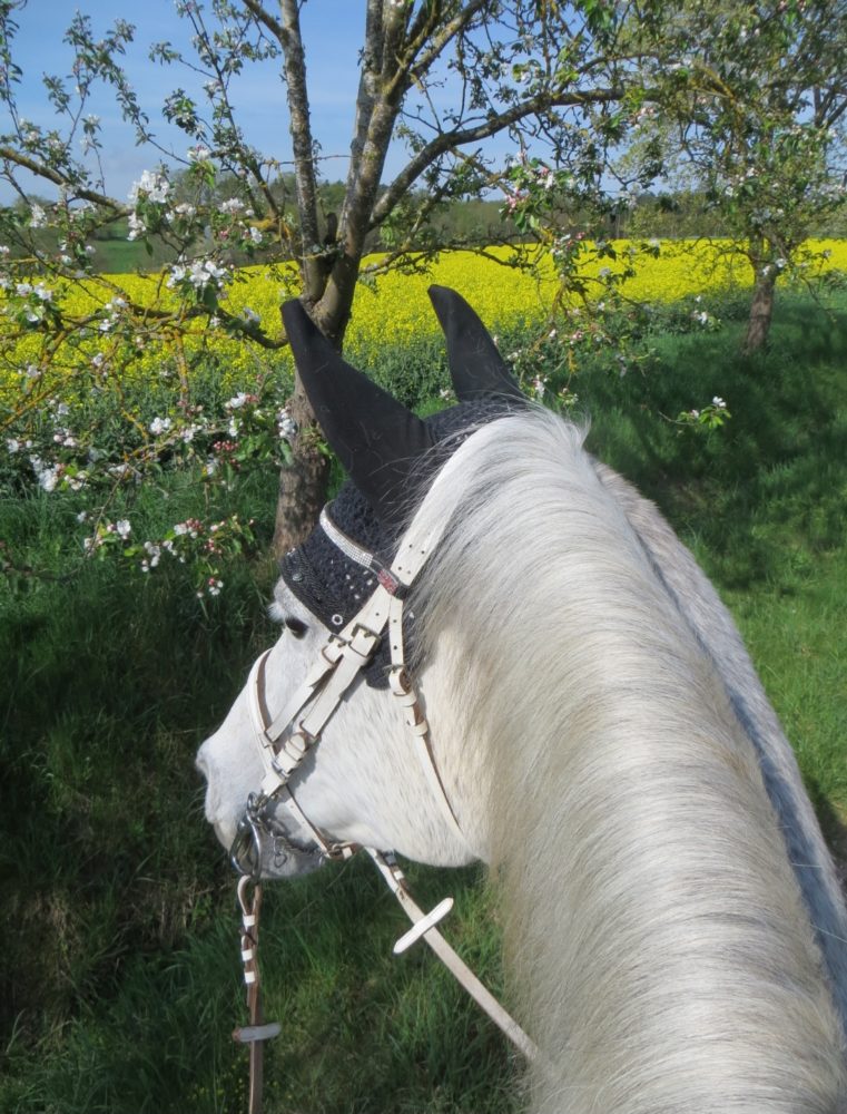 Bester Ausblick